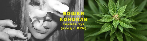 a pvp Белокуриха
