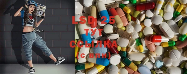 дмт Богородицк
